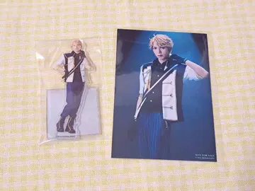 앙스테 체크메이트 브로마이드 아크릴 스탠드 아라시