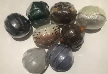 생물대도감 대왕등각류 등 공벌레 외 새상품 가챠 8개 세트