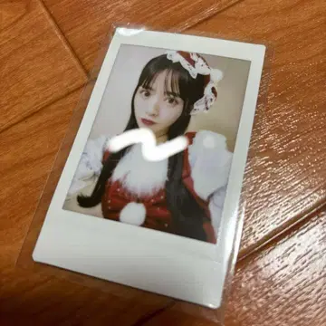 진세이 스즈카 크리스마스 폴라로이드