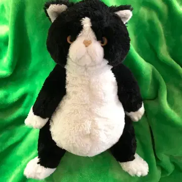 무릎 고양이 앉은 하치와레