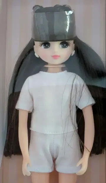 리카짱 캐슬 DS 모델 리카짱 (미개봉 새상품)