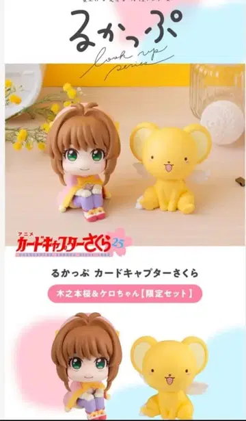 카드캡터 사쿠라 룩업