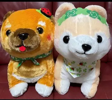 콩 시바 삼형제 해피 클로버 울트라 BIG 봉제 인형 사스케 마메사부로