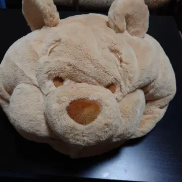 도쿄 디즈니 리조트 곰돌이 푸 팬캡