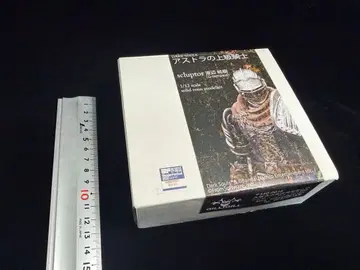 다크 소울 아스트라의 상급 기사