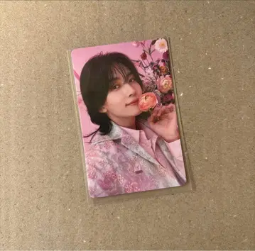 seventeen 정한 레어 트레이딩 카드