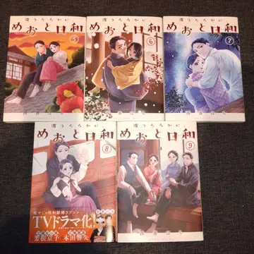 잔잔한 물결, 부부의 날들 5권 ~ 9권