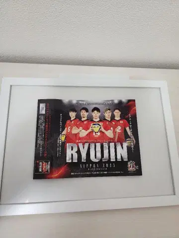 RYUIN 2013 프레임 포스터