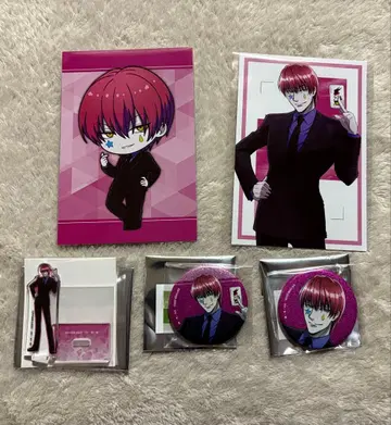 헌터헌터 애니메이트 페어 히소카 5세트