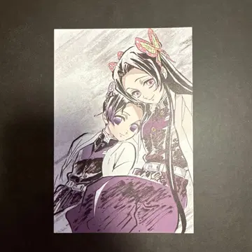 귀멸의 칼날 전 집중전 아이 캐치 엽서 코쵸우 시노부 카나에