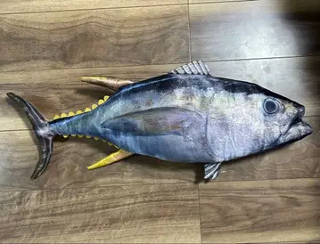 참치 봉제 인형 약 70cm