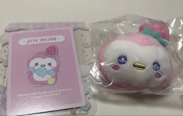 jochum  캔디 시리즈 트레이딩 카드 케이스 브로치
