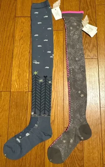 2점 미사용 ANTIPAST