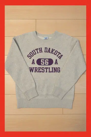 [ champion ] 챔피온 트레이닝복 C8-Y021