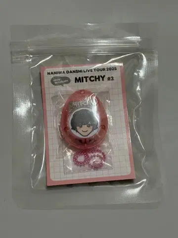 미치에다 슌스케 보이스 키링