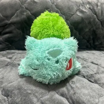 이상해씨 봉제 인형 약 15cm