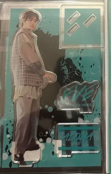 초특급 아로하 아크릴 스탠드 EVE 아크릴 스탠드