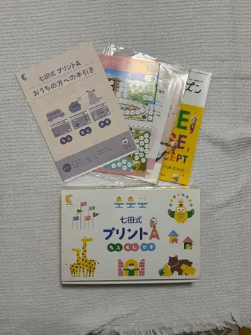 시치다식 프린트 A