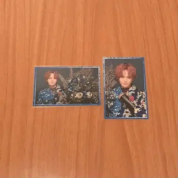 치루 상자 오우마지 콘퓨전 트레이딩 카드 이마이 후미야 님