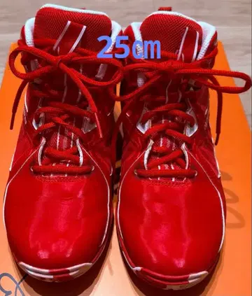 미즈노 피트니스 신발 웨이브 다이버스 여성용 25.0cm