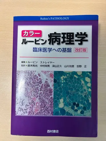 루빈 병리학 개정판 필기 없음