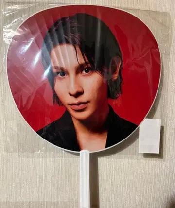 Snow Man 부채 라울