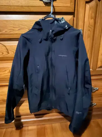 patagonia GORE-TEX Pro Shell 마운틴 후드티