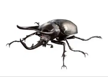 자바섬 코카서스장수풍뎅이 생물대도감 어드밴스