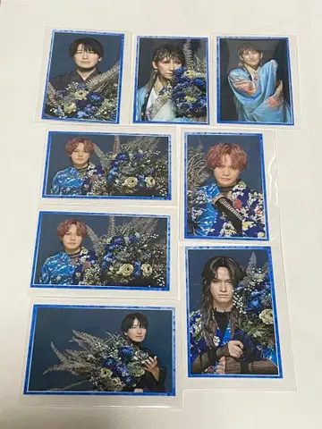 치루상자 마물시컨퓨전 트레이딩 카드 히라카와, 이마이, 오노, 하타노