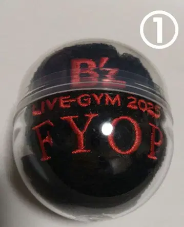 B'z LIVE-GYM 2025 FYOP 블랙