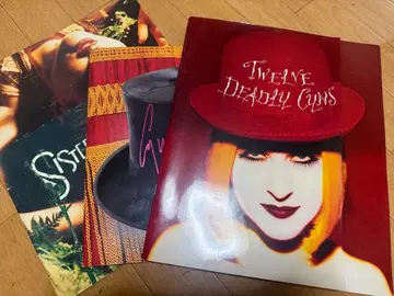 신디 로퍼 팜플렛