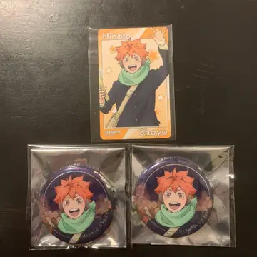 하이큐 코스모 월드 히나타