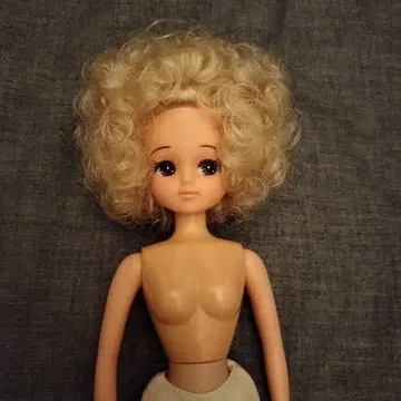 리카짱 캐슬 인형 본체