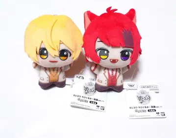 스토푸리 루토 리이누 세트 묶음 판매