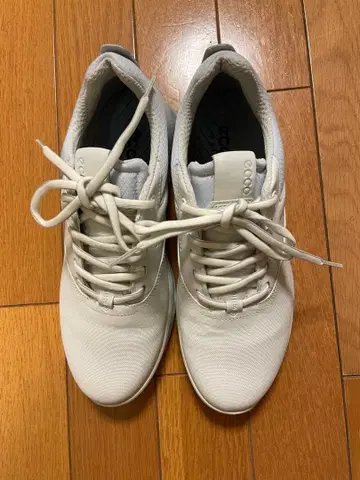 ecco 골프화 화이트