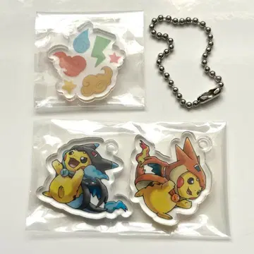 포켓몬 아크릴 참 메가 판초를 입은 피카츄 메가 리자몽 X Y