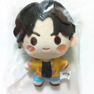 BTS 인더섬 봉제인형 마스코트 참 JUNGKOOK