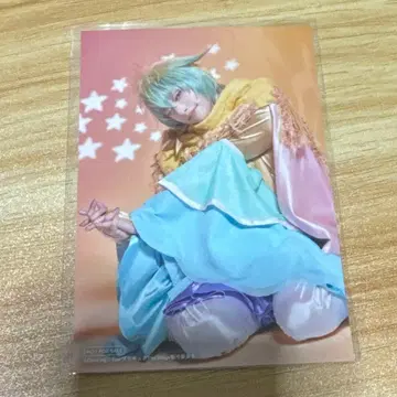 보쿠프리 파도두 재구매 고객 혜택 브로마이드