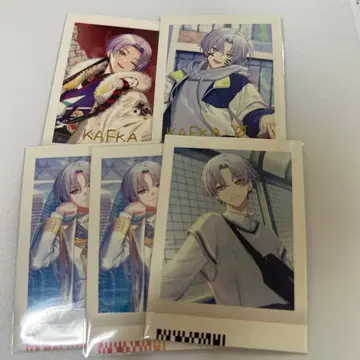 18TRIP 대흑가불가 파샤코레 금박