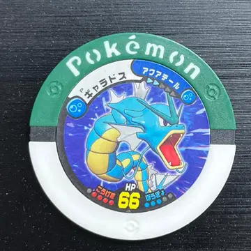 한정품 배틀로얄 갸라도스 2010년 이온 판타지 [겟 대회] 상품