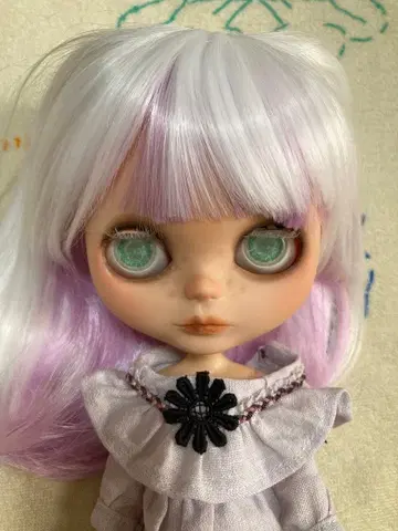 브라이스 커스텀