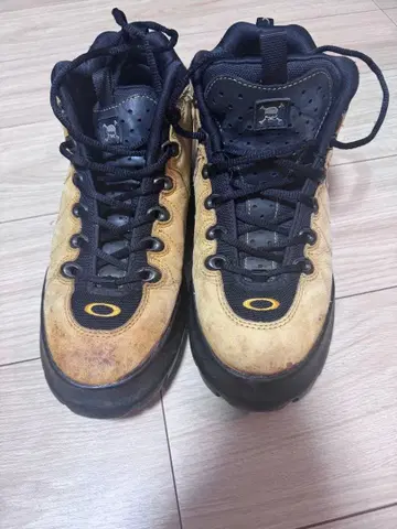 Oakley 00s archive skull nail 트레킹 슈즈