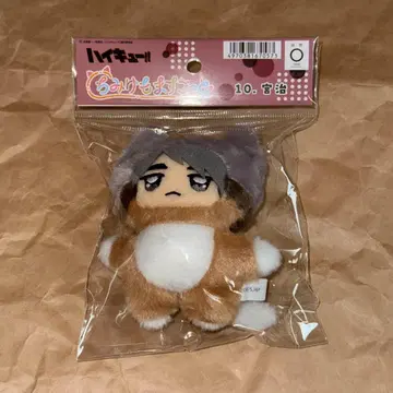 하이큐 미야 오사무 치미케모