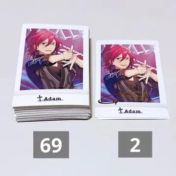 앙스타 사에구사 이바라 파샤코레