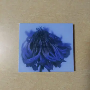 너를 위해 살아갈게 춤추는 나라 사인 포함