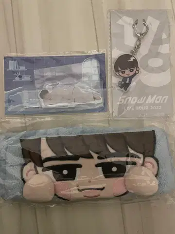 Snow Man LIVE TOUR 굿즈 세트