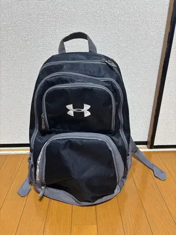 언더아머 백