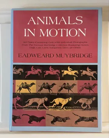 ANIMALS IN MOTION EADWEARD MUYBRIDGE