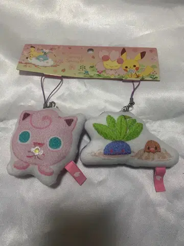 포켓몬 나조노쿠사 하루이로 마스코트