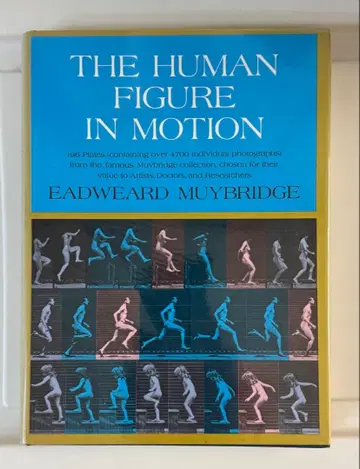 THE HUMAN FIGURE IN MOTION